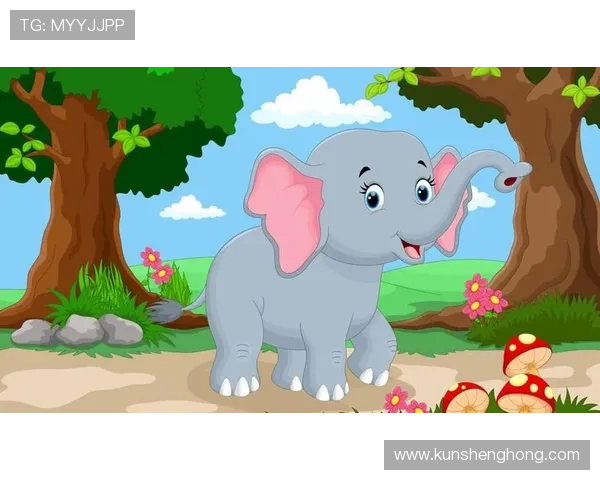 大象足球赛事（大象踢足球视频）sports