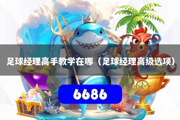 足球经理高手教学在哪(足球经理高级选项)